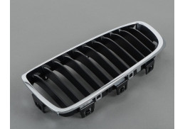 Grilles de calandres pour BMW  Accueil | Voitures | Série 4 F32 F33 F36 GC