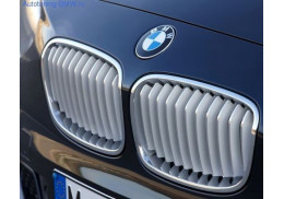 Grilles de calandres "Urban" pour BMW Série 1 F20 F21 Phase 1 (non LCI)