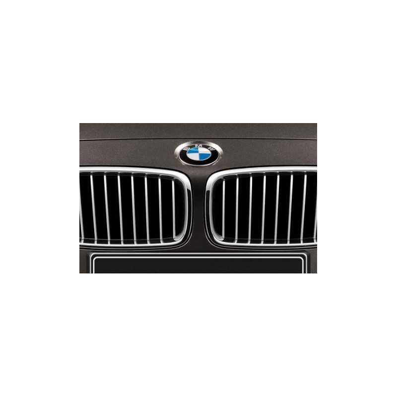 Grilles de calandre Finition Modern (jeu de 2) pour BMW Série 3 F30 F31