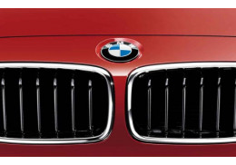 Grilles de calandre Finition Sport (jeu de 2) pour BMW Série 3 F30 F31