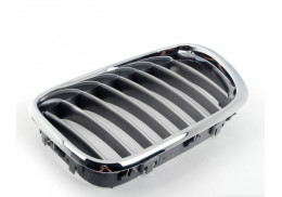 Grilles de calandre Titane pour BMW X5 E53