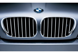Grilles de calandre Titane pour BMW X5 E53