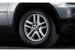 Jante Style 130 à rayons en V  pour BMW X5 E53