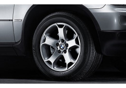 Jante Style 131 à rayons en Y pour BMW X5 E53