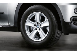 Jante Style 209 à rayons en étoile pour BMW X5 E70