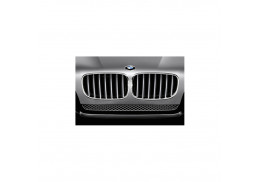 Grilles de calandre Titane pour BMW X6 E71