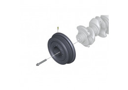 Amortisseur de vibrations / Poulie dumper pour BMW X5 E53 E70