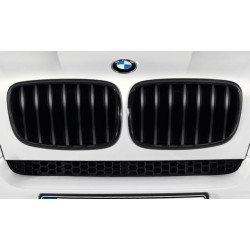 Grilles de calandre noires...