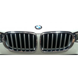 Grilles de calandre Xline pour BMW X4 F26