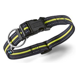 Collier pour chien BMW ACTIVE