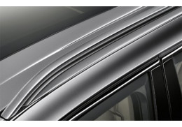 Rails de toit en aluminium satiné BMW X3 G01