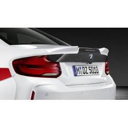 Hayon carbone M Perf pour...