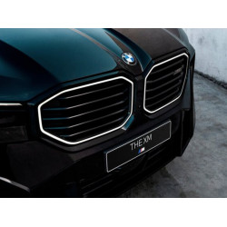 Grilles de calandres BMW...