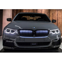 Grilles de calandres Iconic...