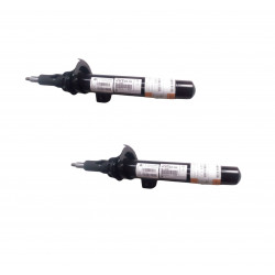 Amortisseurs AVANT (x2)...