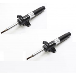 Amortisseurs AVANT avec vis...