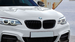 Grilles de calandres BMW Performance pour BMW Série 2 Coupé et Cabriolet (F22) (F23)