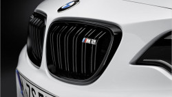 Grilles de calandres BMW Performance pour BMW M2 F87