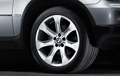 Jante Style 168 à rayons en V pour BMW X5 E53