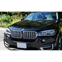 Grilles de calandre Titane pour BMW X5 F15