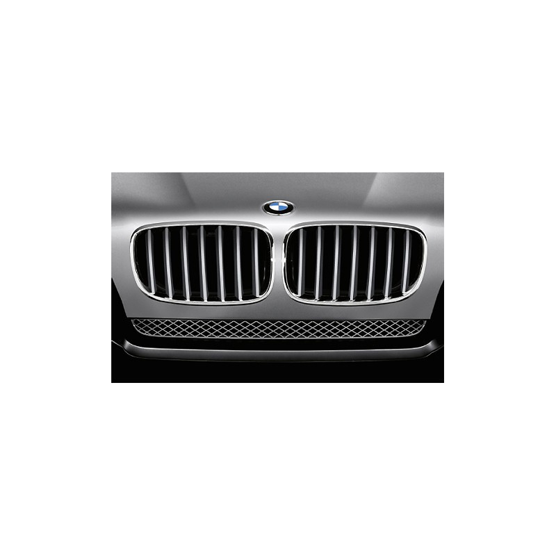 Grille de pare-chocs avant pour BMW X5 E70 X6 E71 2006-2013