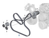 Courroie nervurée poly-v de direction assistée pour BMW Série 1 E81 E82 E87 E88 (diesel uniquement)