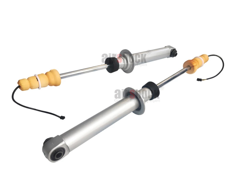 Amortisseurs ARRIERE électriques (x2) pour BMW Série 7 E65 E66