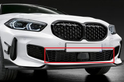 Grille de calandre centrale (pack M ACC) BMW Série 1 F40