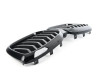 Grille de calandre (Shadow-Line) pour BMW X3 G01 LCI